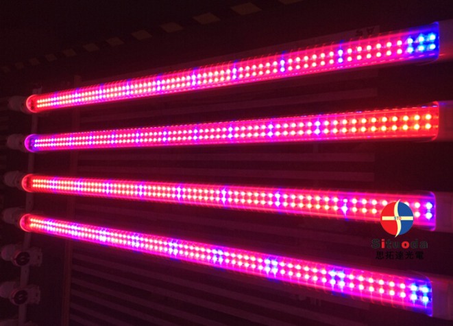 LED grow light